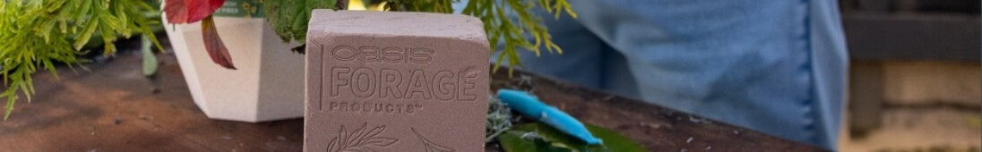 Dry Foam vs. Wet Foam: The Oasis Forage Difference