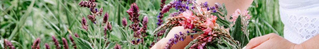 harvesting foraged flowers