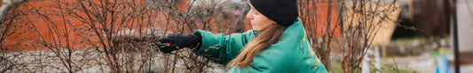 Essential Tips to Winterize Gardens: A Step-by-Step Guide To Closing Gardens for the Winter