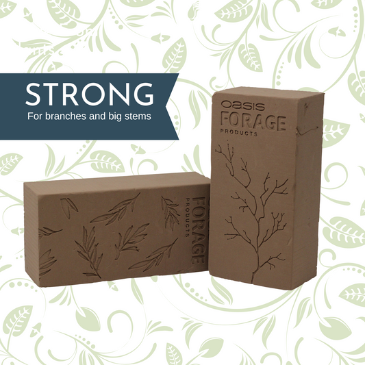 OASIS® Forage Foam Strong
